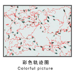 20140107144165016501.jpg