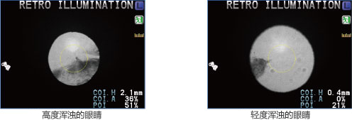 ark-1s_004.jpg