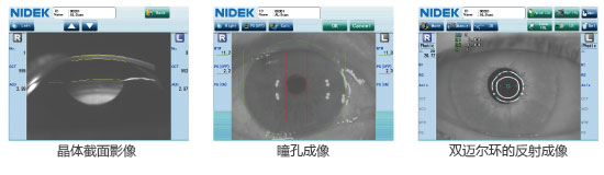al-scan_006.jpg