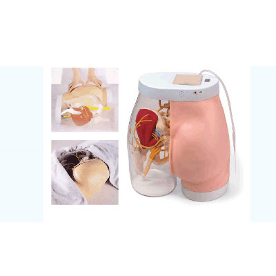 高级臀部肌肉注射训练及对比模型(带检测警示