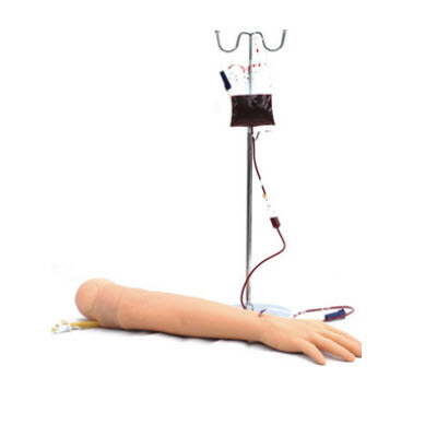 高级手臂静脉穿刺及三角肌注射模型 BIX-HS2