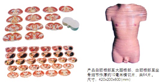 2012050811265365408.jpg