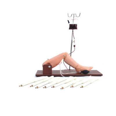 骨穿刺及股静脉模型-寰熙医疗网-上海寰熙医疗