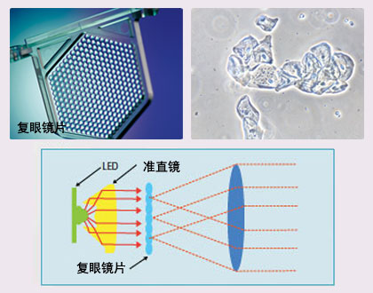 TS100&nbsp;LED环保照明.jpg