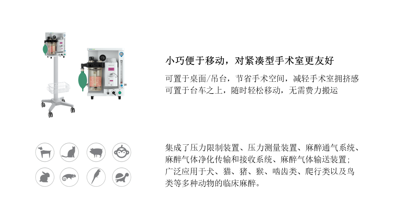 CgAGbGgq-T6ANHkqAAI-CKNo5Nk225.png