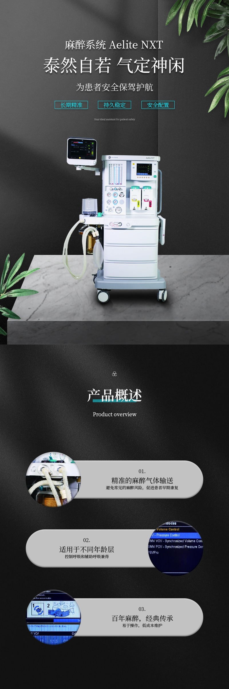 huihua_s_1692943630096_oq5cnx.jpg